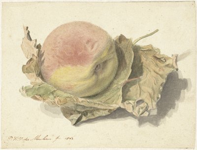 Pesca su Due Foglie da Pieter van der Meulen