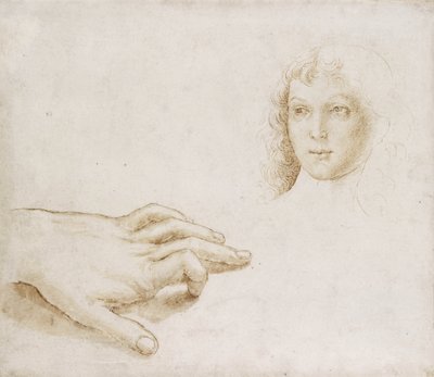 Studi di una testa e di una mano da Pietro (circle of) Perugino
