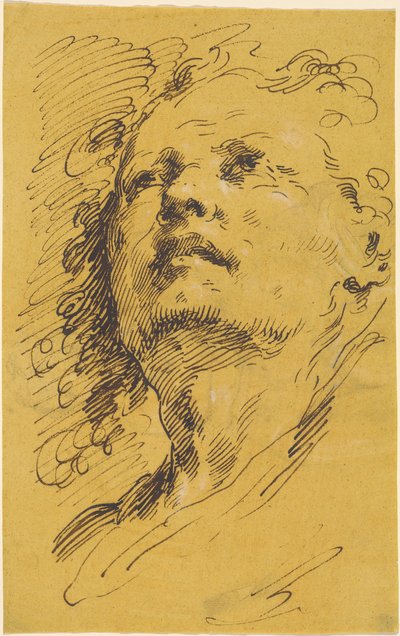 Testa di un uomo che guarda in alto da Pietro Antonio Novelli