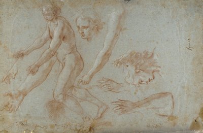 Disegno da Pietro Aquila