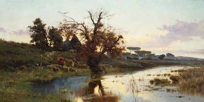 Gregge al tramonto da Pietro Barucci