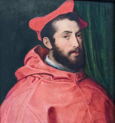 Cardinale Alessandro Farnese da Pietro Bonaccorsi