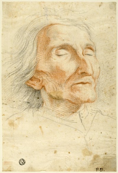 Volto di un vecchio con gli occhi chiusi da Pietro Dandini