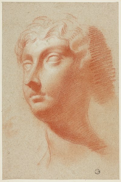 Testa femminile da Pietro Dandini