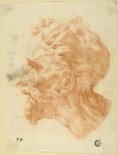 Testa di uomo barbuto di profilo a sinistra da Pietro Dandini