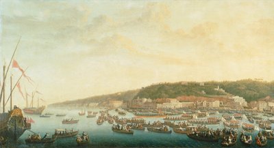 Processione delle navi reali a Posillipo, Napoli da Pietro Fabris