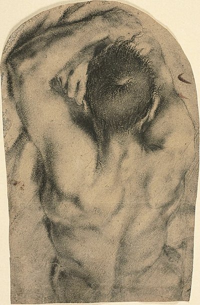 Mezzo busto di nudo maschile sdraiato visto da dietro da Pietro Faccini