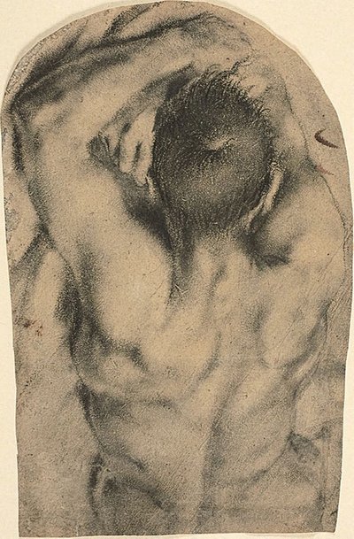 Nudo maschile reclinato a mezzo busto visto da dietro, c.1590 da Pietro Faccini