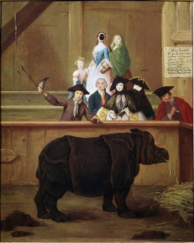 Rinoceronte: esposizione di Clara, rinoceronte indiano da Pietro Longhi