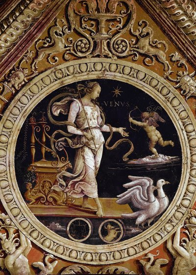 Rappresentazione allegorica di Venere da Pietro Perugino