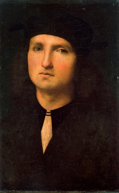 Ritratto di un giovane uomo da Pietro Perugino