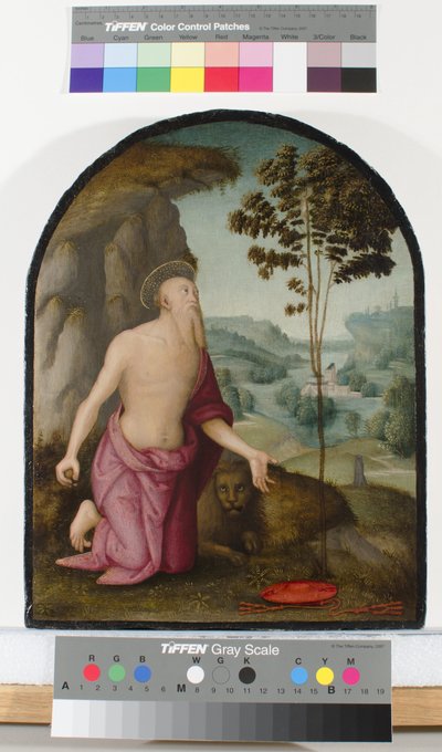 San Girolamo nel deserto, c.1510-15 da Pietro Perugino