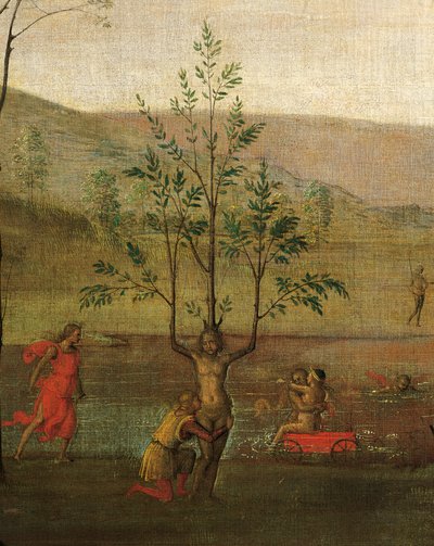 Donna-albero, (dettaglio) da Pietro Perugino