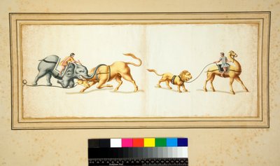 Copia di un mosaico di un elefante che combatte contro un toro da Pietro Santi Bartoli