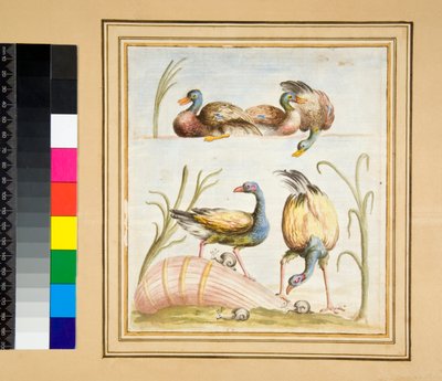 Copia di un mosaico con uccelli da Pietro Santi Bartoli