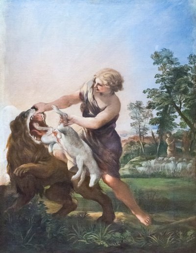 Davide uccide il leone da Pietro da (1596 1669) Cortona