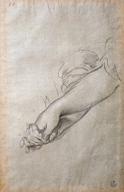 Mani e braccia, studio per l