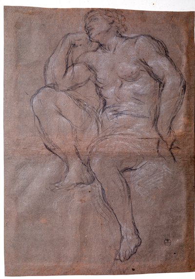 Giovane uomo, studio da Pietro da Cortona