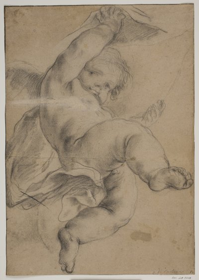 Putto volante che solleva una tenda da Pietro da Cortona