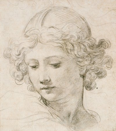 Testa di un Angelo, Guardando in Basso a Sinistra da Pietro da Cortona