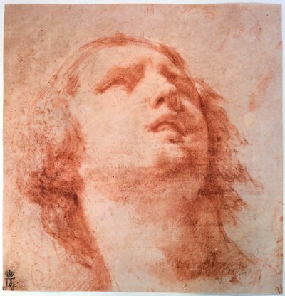 Studio della testa di una donna che guarda in alto da Pietro da Cortona