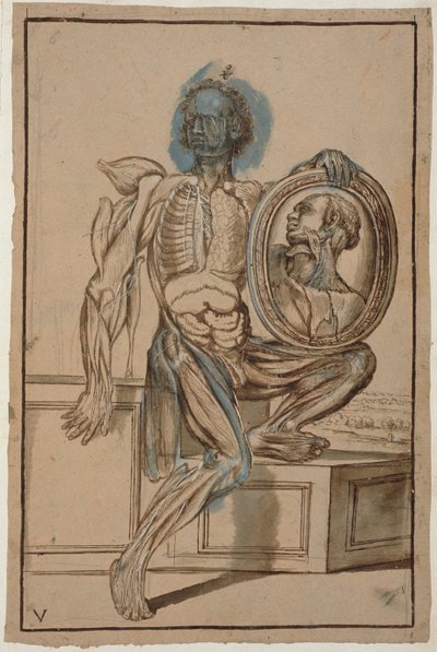 Ms Hunter 653 Tavola V Disegno anatomico, c.1610 da Pietro da Cortona