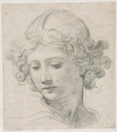 Studio per la testa di San Michele da Pietro da Cortona