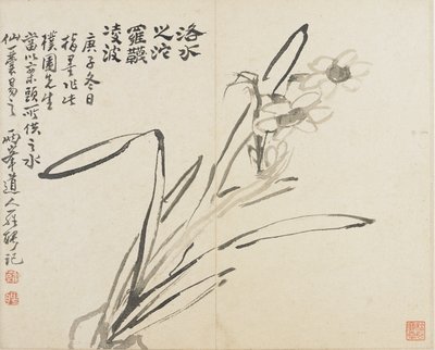 Paesaggi, fiori e uccelli: Narciso, Dinastia Qing da Luo Ping