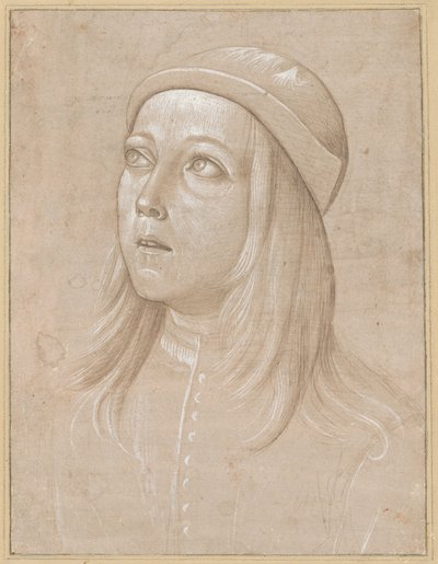 Testa di un giovane che guarda in alto da Pinturicchio
