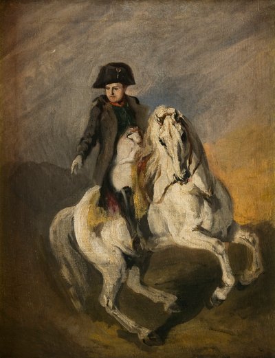 Napoleone su un Cavallo Grigio da Piotr Michalowski