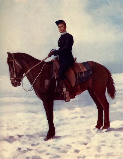 Il cavallo di Strathcona, 1900 da Pittaway
