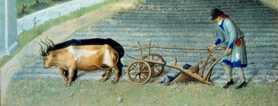 Marzo: neve. Lavoro agricolo, contadino che ara un campo. (dettaglio) da Pol de Limbourg