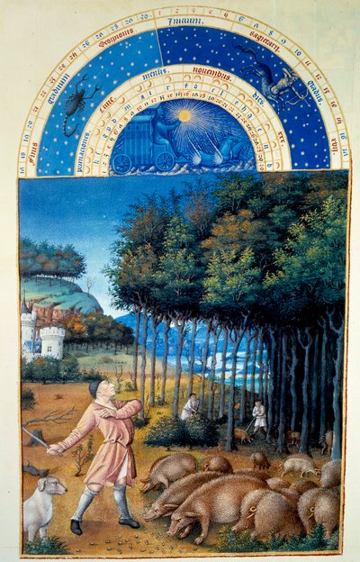 Novembre: la raccolta delle ghiande. Miniatura in "Le Très Riches Heures du Duc de Berry" di Pol De Limburg (XV secolo). Chantilly, Museo Condé da Pol de Limbourg