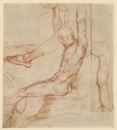 Studio di un uomo con vari schizzi (recto); Studio di una gamba drappeggiata di un uomo (verso) da Polidoro da Caravaggio (Polidoro Caldara)