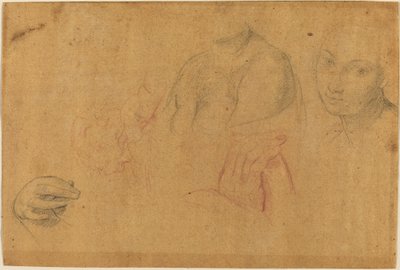 Schizzi di teste e mani da Pompeo Batoni