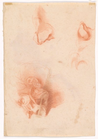 Testa di un uomo, volto di profilo (recto); Studio anatomico, volto di profilo (verso) da Pompeo Girolamo Batoni
