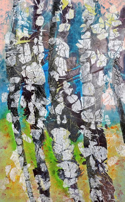 Boschi di betulle dai colori vivaci da Poonam Choudhary