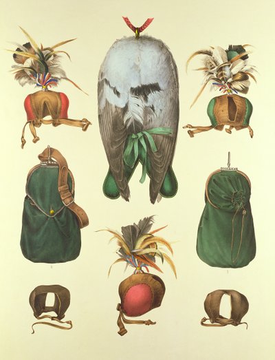 Attrezzatura per la falconeria, da 