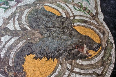 Pavimento raffigurante un cinghiale da Portuguese School