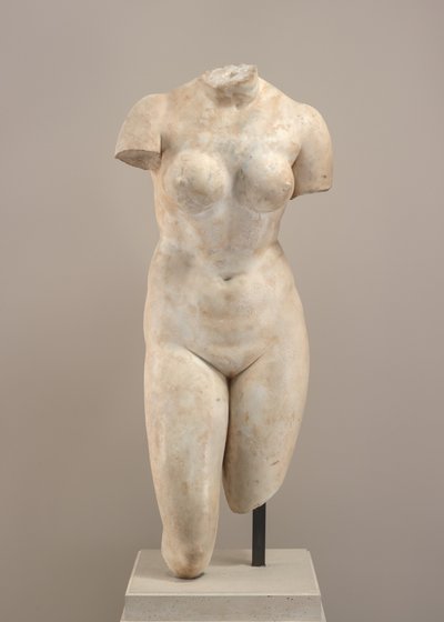 Torso di Afrodite da Possibly Hellenistic or Roman