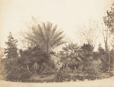 Giardino del Pincio, Roma, 1853-56 da Possibly by Jane Martha St. John.
