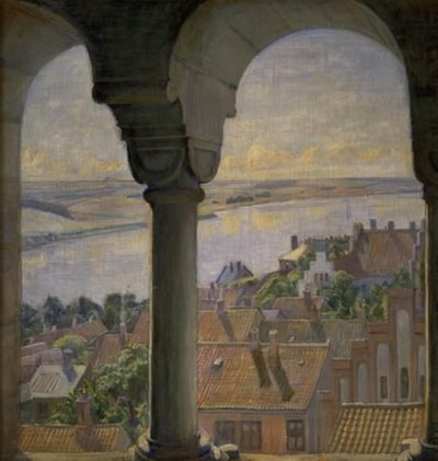 Vista dalla torre della cattedrale di Viborg da Poul S. Christiansen