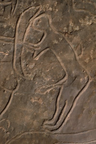 Figura umana e testa di toro (incisione rupestre) da Prehistoric