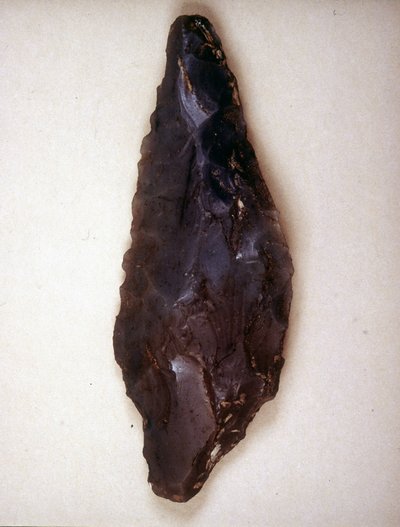 Punte di freccia in selce. Varese. Museo archeologico di Milano da Prehistoric Prehistoric
