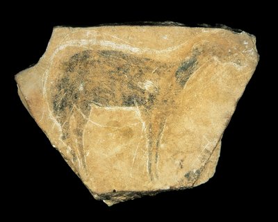 Cerva nera, Grotta di Parpallo, Spagna, Paleolitico superiore da Prehistoric Prehistoric