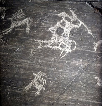 Civiltà dei Camuni, Preistoria, arte rupestre: roccia tombale, rappresentante cacciatori e cervi. Roccia di Naquane, in Valcamonica (Val Camonica) da Prehistoric Prehistoric