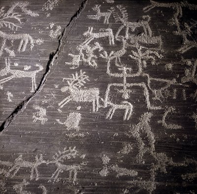 Civiltà dei Camunni, Preistoria, arte rupestre: roccia tombale, dettagli della grande roccia di Naquane, in Valcamonica. Museo archeologico di Milano da Prehistoric Prehistoric