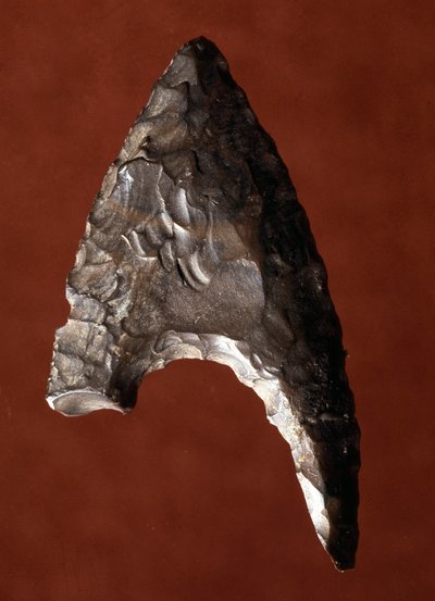 Antichità egiziana: punta di freccia dal sito di Fayoum in Egitto. Periodo predinastico da Prehistoric Prehistoric