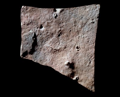 Frammento di grafite con testa di cerva da Prehistoric Prehistoric