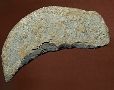 Preistoria: utensile tipo chopper di manifattura litica di Kjokkenmoddinger, Danimarca. Paleolitico da Prehistoric Prehistoric